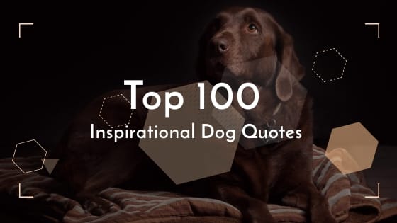 Inspirational Dog Quotes