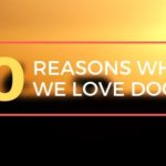 Why We Love Dogs
