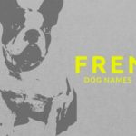 FRENCH DOG NAMES