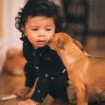 Best Small Dog Breeds For Kids