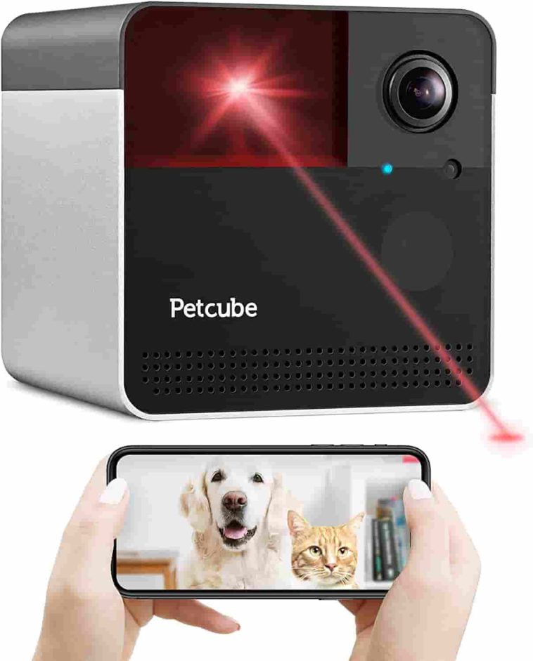 Petcube Camera Play 2 Review The Smartest Pet Camera For Dogs [New 2021]