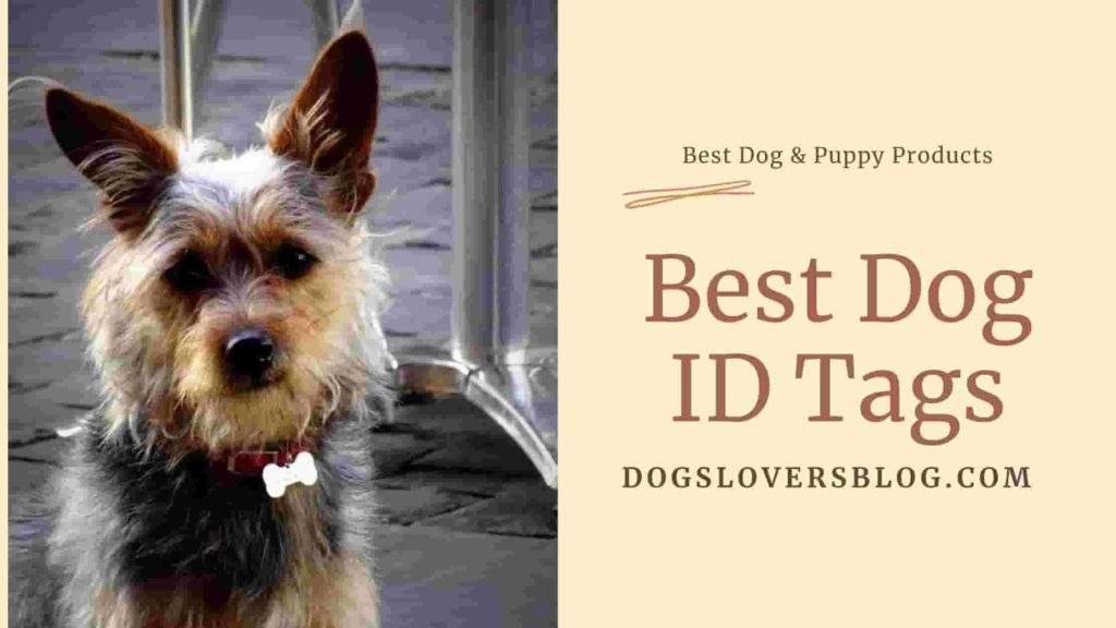best quality dog tags