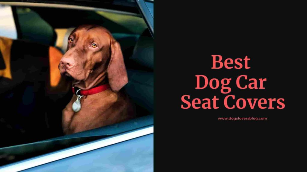 10 Best Dog Car Seat Covers | SUV & Car Dog Seat Cover