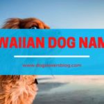 Hawaiian dog names