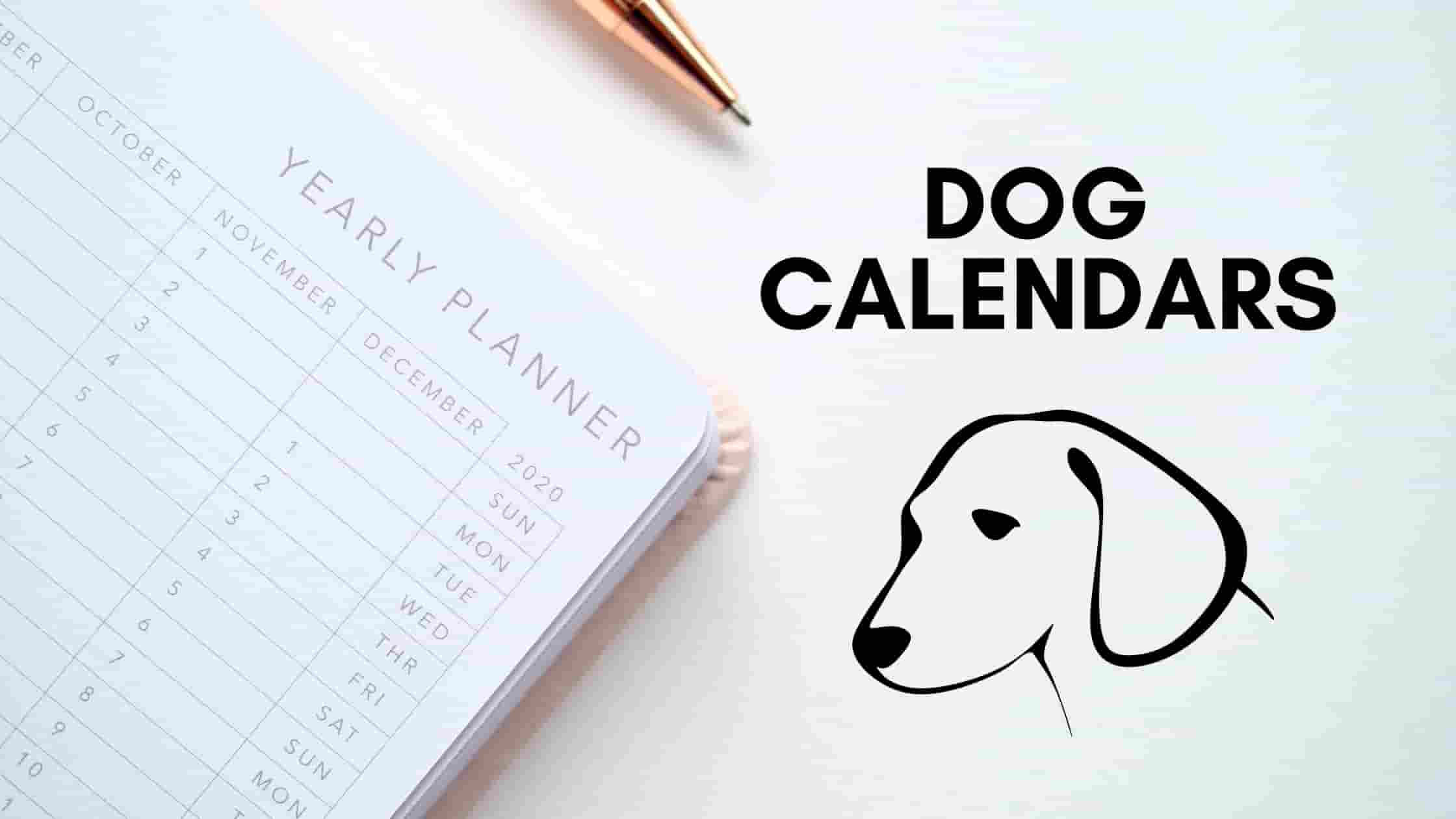 THOUGHTS OF DOG CALENDAR 2021 Dogs Lovers Blog