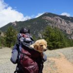 Best Dog Carrier Backpacks