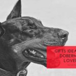 Gift Ideas For Doberman Lovers