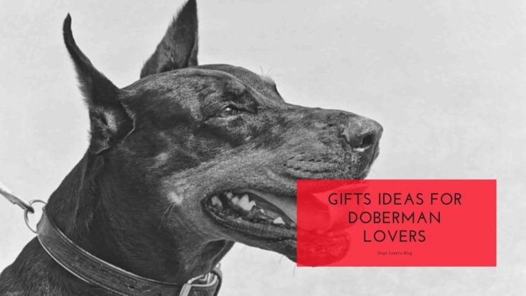 Gift Ideas For Doberman Lovers