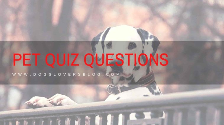Pet Quiz Questions