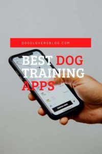 The best dog training apps
