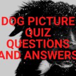 DOG PICTURE QUIZ QUESTIONS AND ANSWERS
