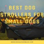 best dog strollers for small dogs