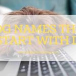dog names starting with d