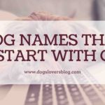 dog names starting with C
