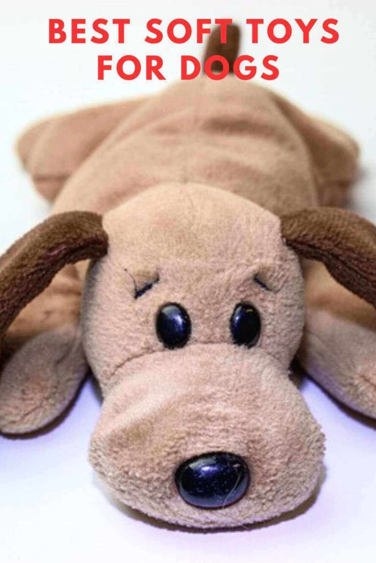 5 Best Soft Toys for Dogs 2023 Our Favorite Soft Toys For Dogs