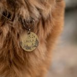 Quality Engraved Dog Tags