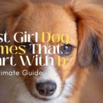 Girl Dog Names That Start With b