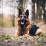 unique german shepherd names male