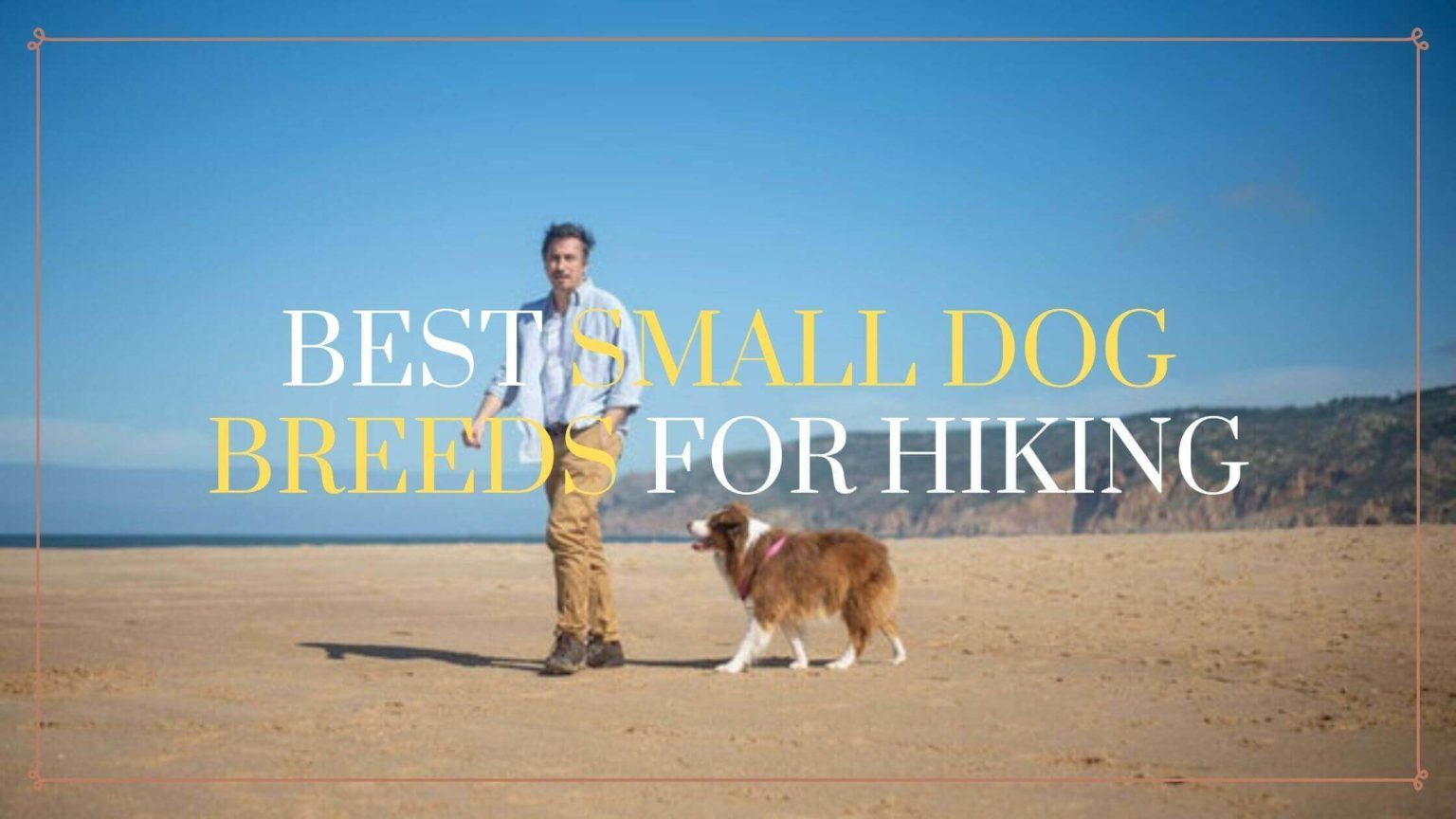 10 Best Small Dog Breeds For Hiking And Outdoor Activities