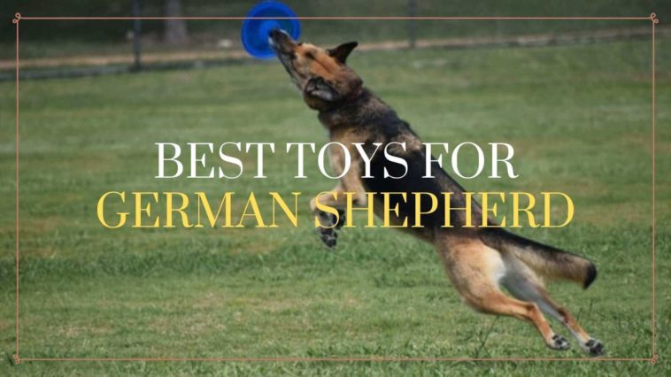 Best Toys For German Shepherd