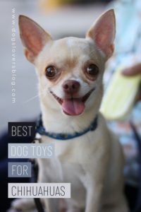 THE BEST DOG TOYS FOR CHIHUAHUA
