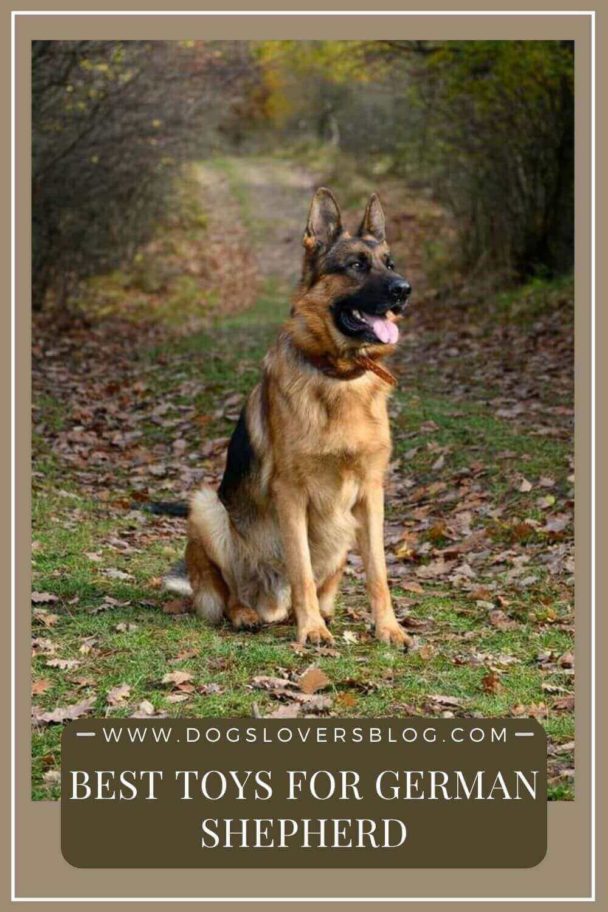 10 Best Toys For German Shepherds - Our Complete Guide in 2023