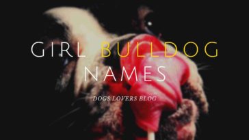 girl bulldog names