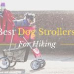 Best Dog Strollers For Hiking