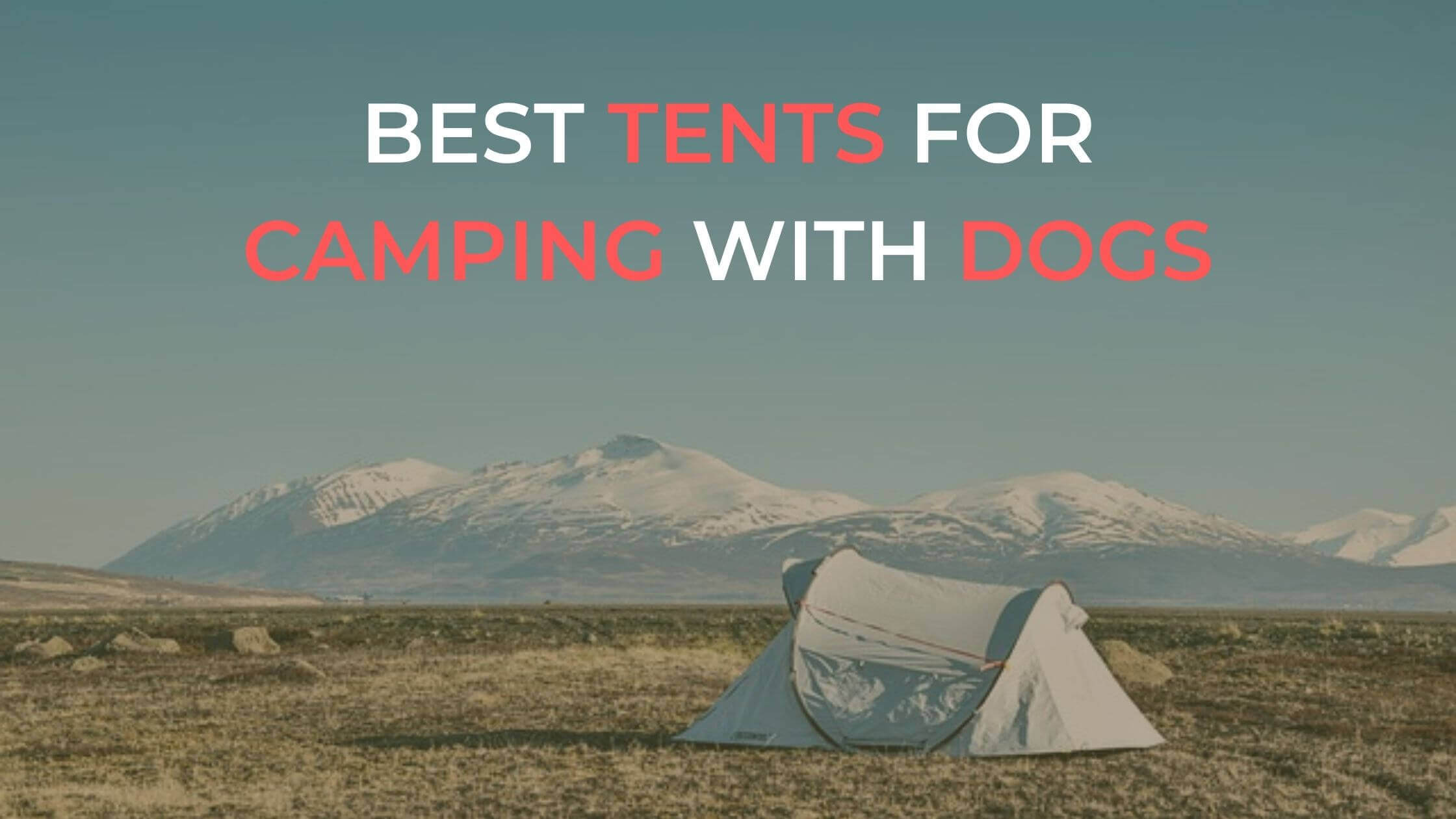 Best Tents for Camping With Dogs 2022 