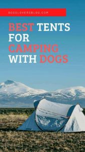 top Tents for Camping With Dogs