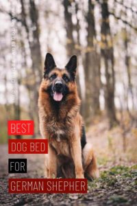 10 best dog bed for german shepherd