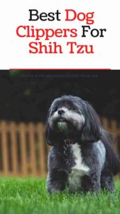 Best Dog Clippers For Shih Tzus