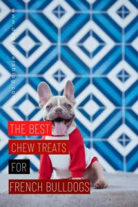7 best chew treats for french bulldogs