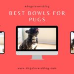 best bowls for pugs