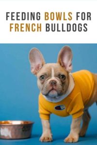 feeding bowls for french bulldogs