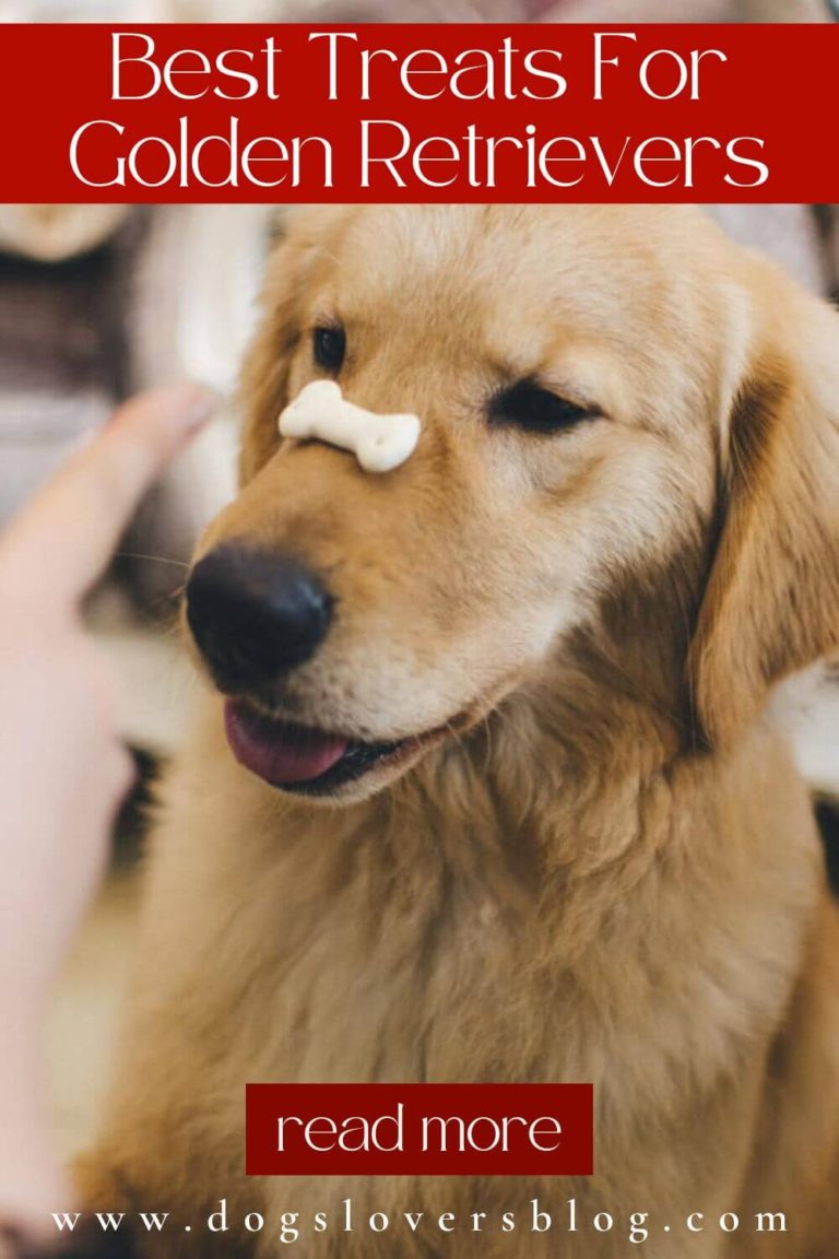 7 Best Treats For Golden Retrievers To Make Your Dog Happy & Healthy