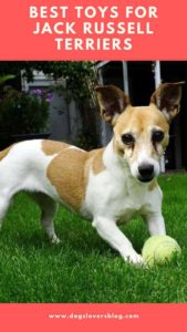 toys for jack russell terriers