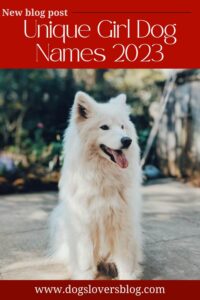 Unique Girl Dog Names 2023