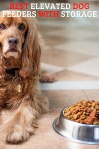 Best Elevated Dog Feeders With Storage