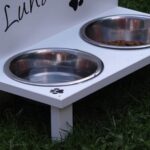 elevated dog feeding bowls