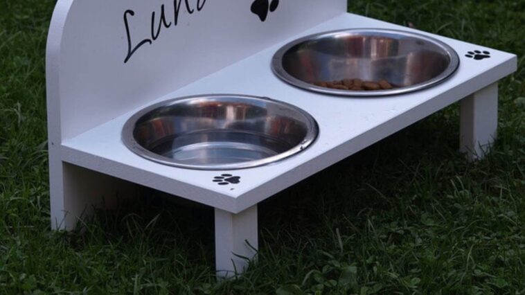 elevated dog feeding bowls