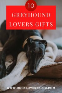 Greyhound Lovers Gifts