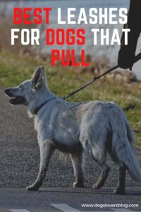 5 Best Leashes For Dogs That Pull Keeping Your Pulling Dog Under Control on Walks