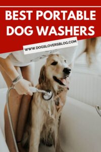 Best Portable Dog Washers