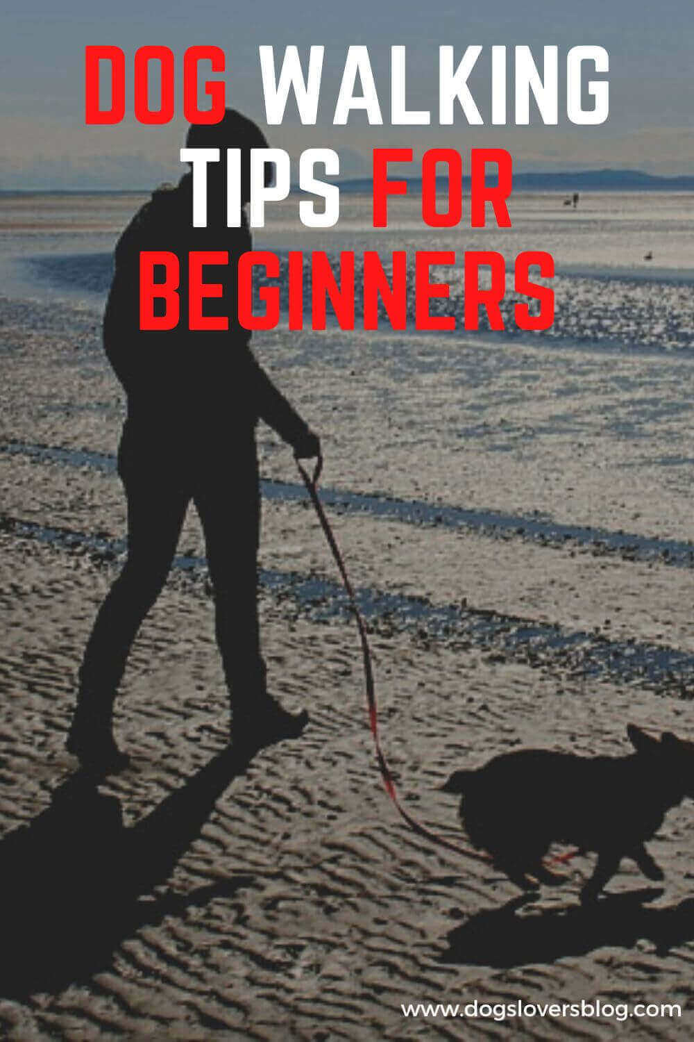 +15 Best Dog Walking Tips For Beginners What You Need To Know?
