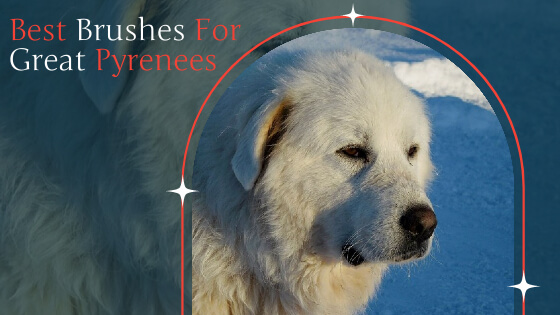 best brushes for great pyrenees