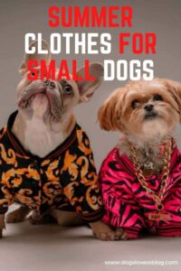 Summer Clothes for Small Dogs The Ultimate Guide for Keeping Your Pup Cool and Comfortable