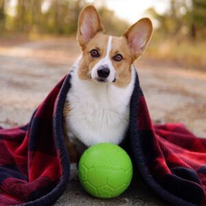 Jolly Pets - Tough Rubber Balls for Fetch
