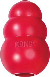 Kong - The Classic Indestructible Dog Toy Brand