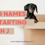 dog names starting with j